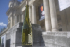 chardonnay